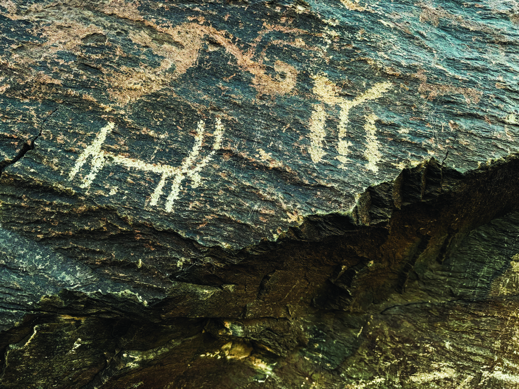 Teimareh petroglyph panel showing abstract ibex forms alongside geometric symbols on dark green rock