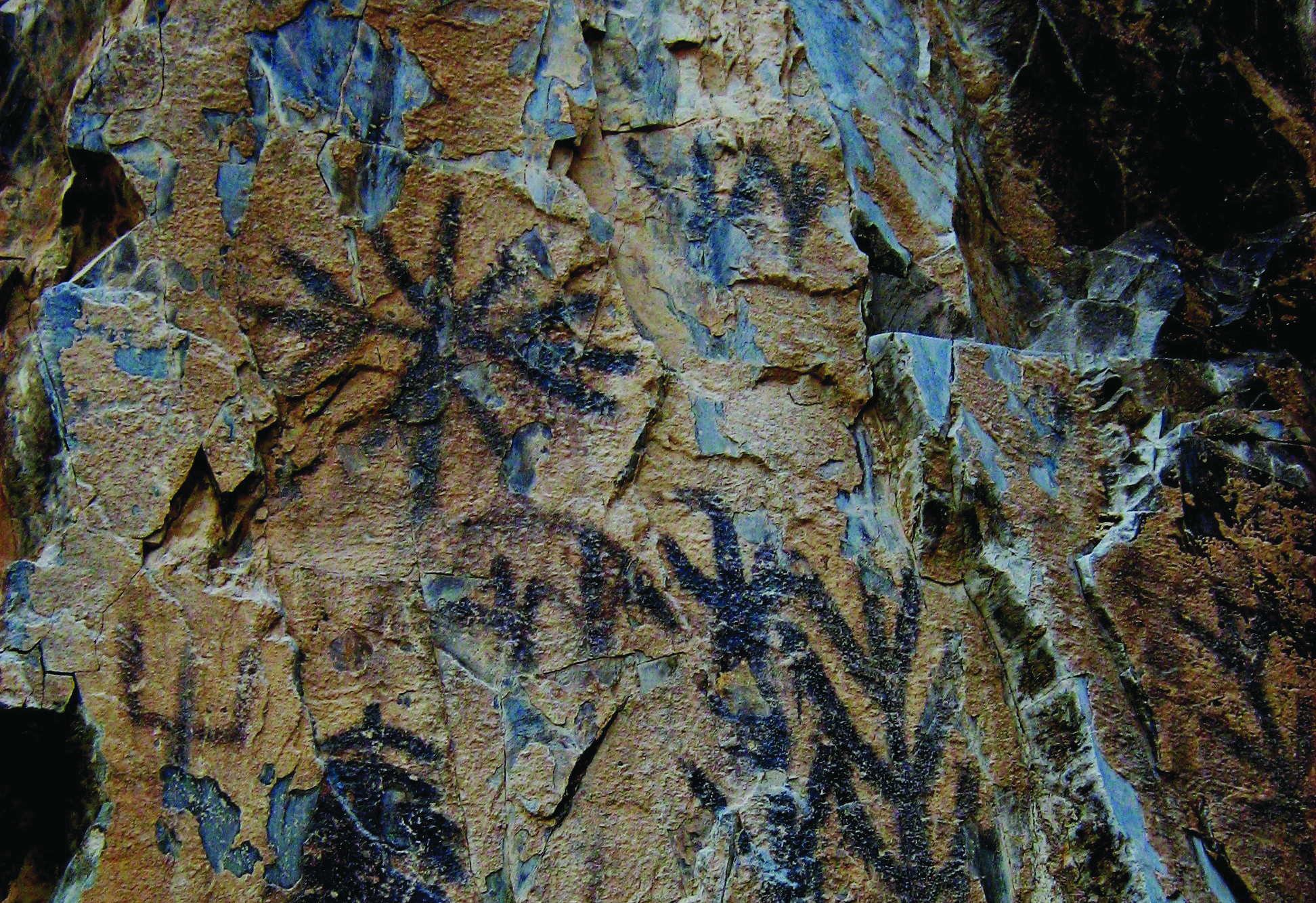 Rock surface at Teimareh showing carved plant-like figures resembling haoma with cupmark depressions
