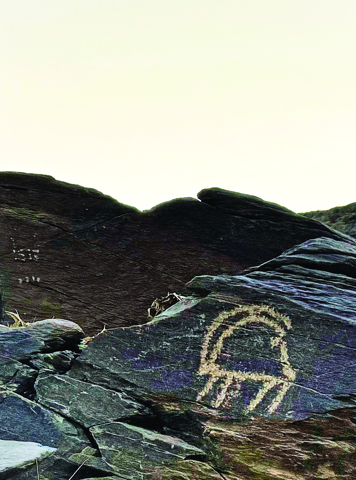 Petroglyph at Teimareh showing an ibex with oversized curved horns dominating the composition on dark rock