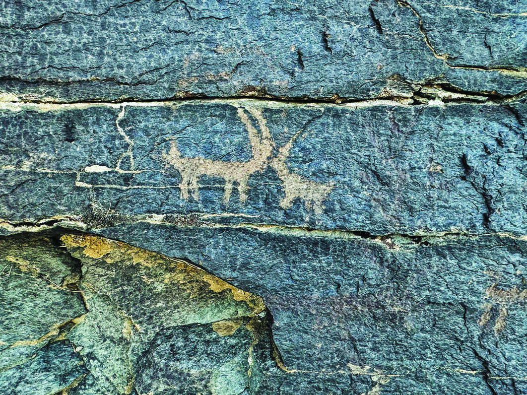 Two ibex petroglyphs carved into blue-toned rock at Teimareh, showing naturalistic proportions