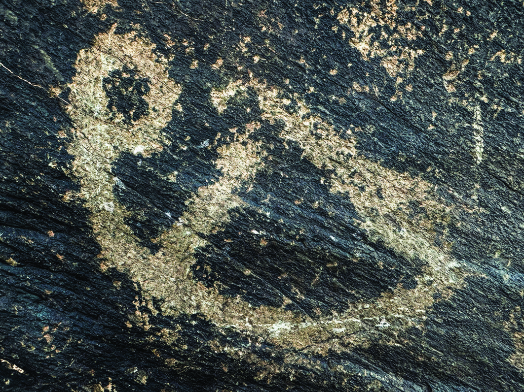 A large, deeply carved naturalistic ibex petroglyph at Teimareh with well-defined body and curved horns