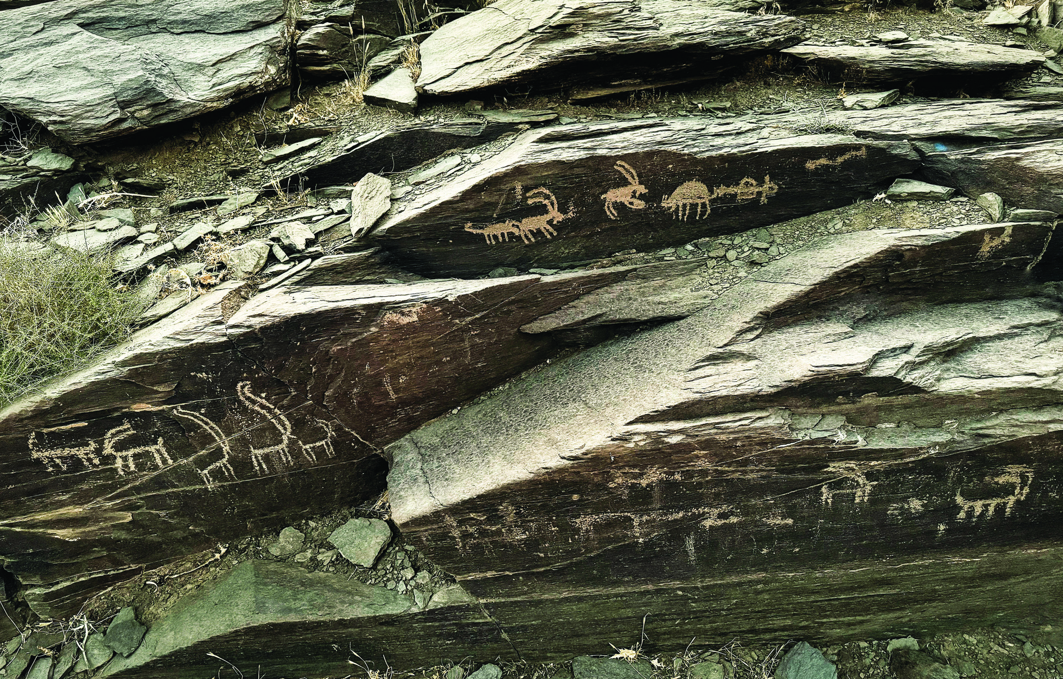 There Is a Past That Does Not Pass