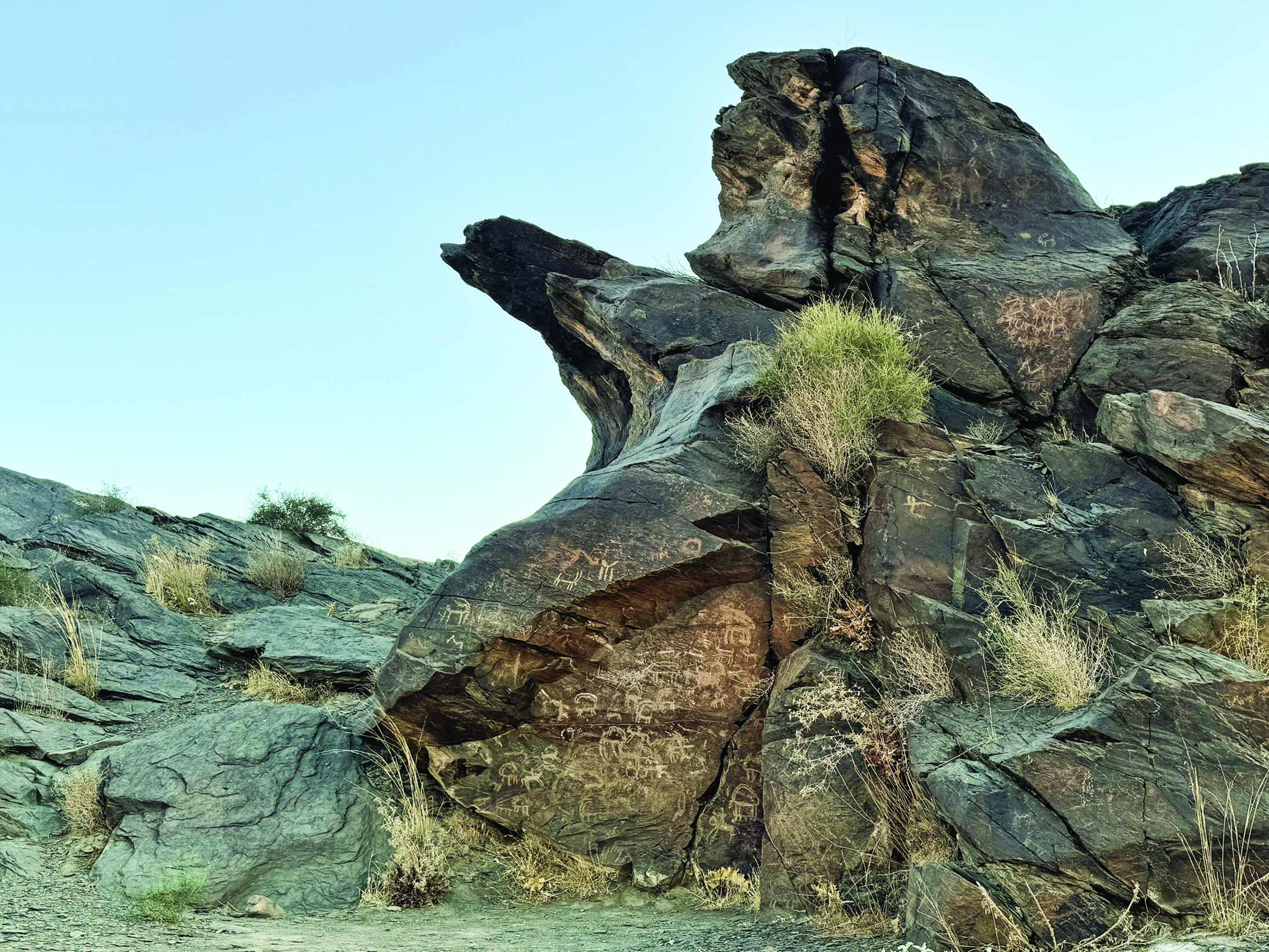 Large dark rock face at Teimareh covered in ancient petroglyphs, with carved ibex and other figures visible on the surface