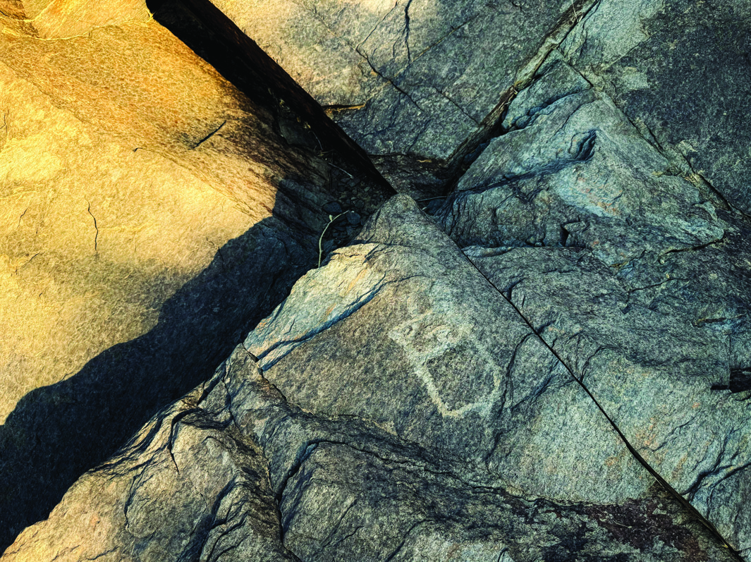 Close-up of the rock surface texture at Teimareh showing the interplay of light and shadow on the engraved surface