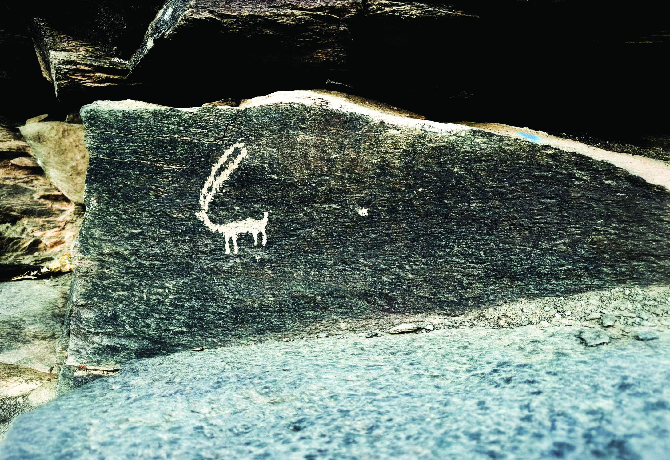 Large stylised ibex petroglyph at Teimareh with prominent curved horns on a dark rock face
