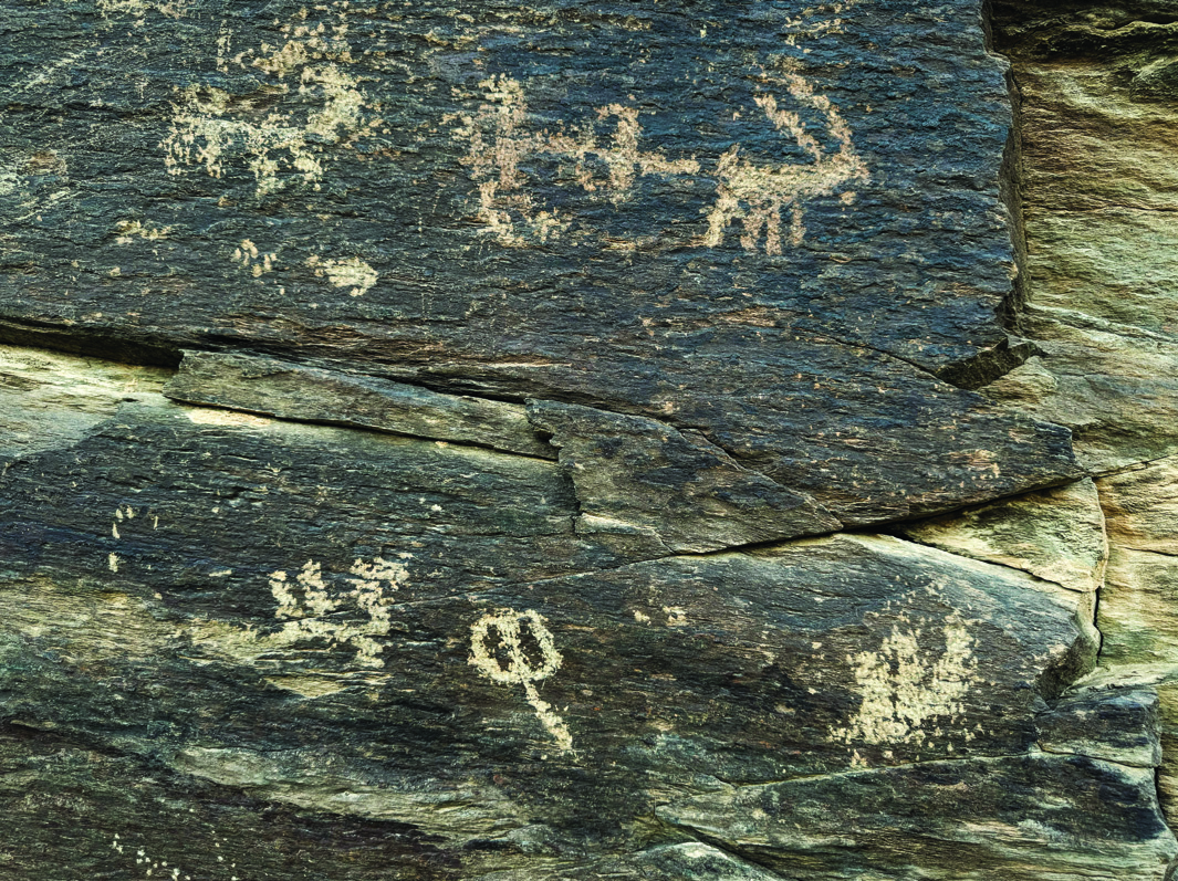 Teimareh rock panel showing a mix of animal figures and circular symbols etched into dark stone