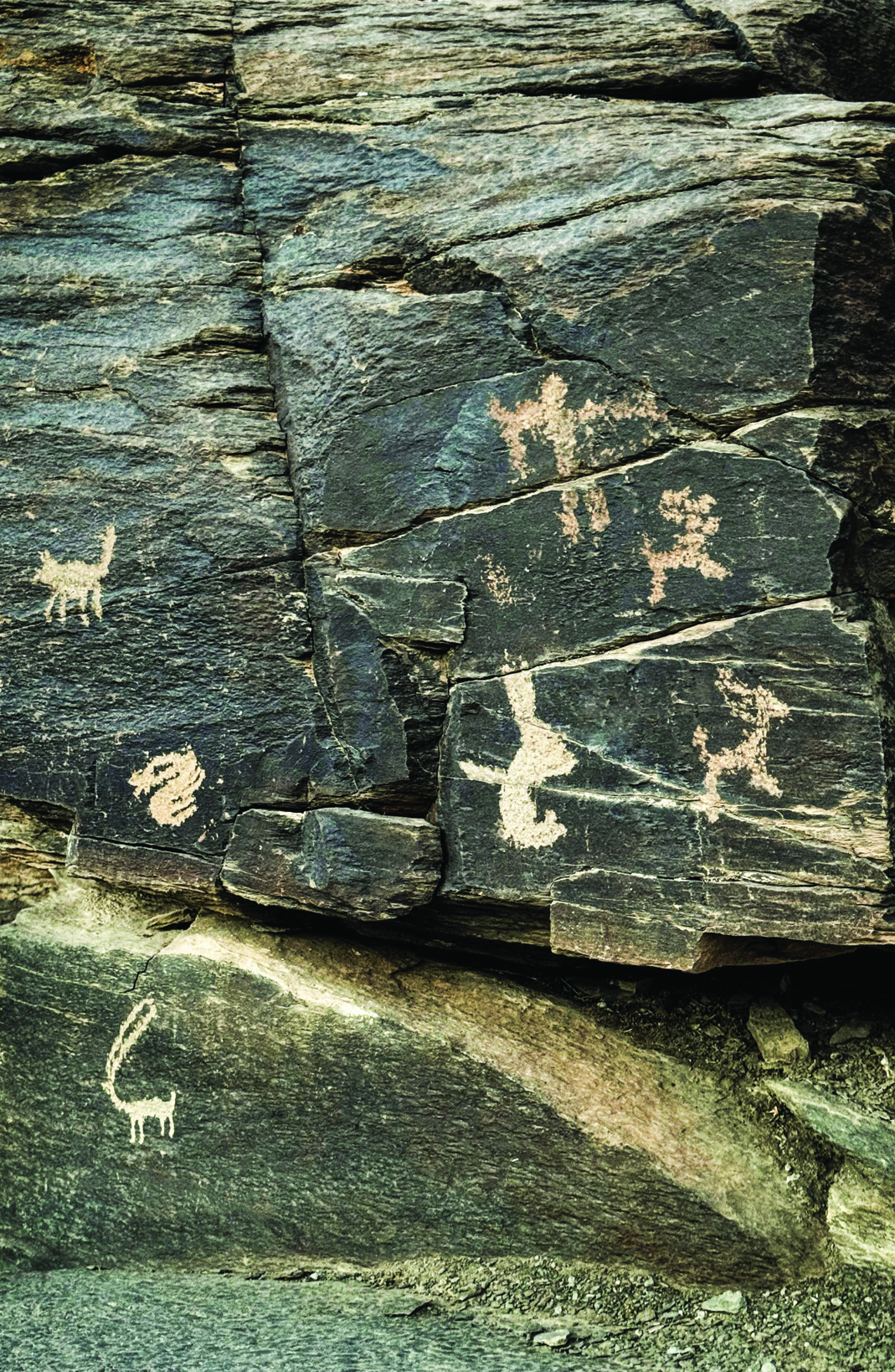 Rock panel at Teimareh showing various animals including ibex, horses, and possible cattle engraved on dark stone