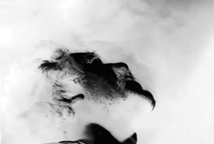 Black-and-white film still from The Cow by Dariush Mehrjui, showing the face of a cow looking upward beneath a shaft of light entering from an opening in the ceiling
