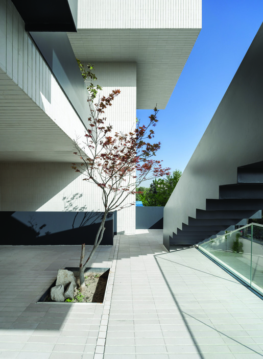 Courtyard view with a Japanese maple tree in a planter, the dark steel staircase ascending to the right, white tile walls, bright daylight from above