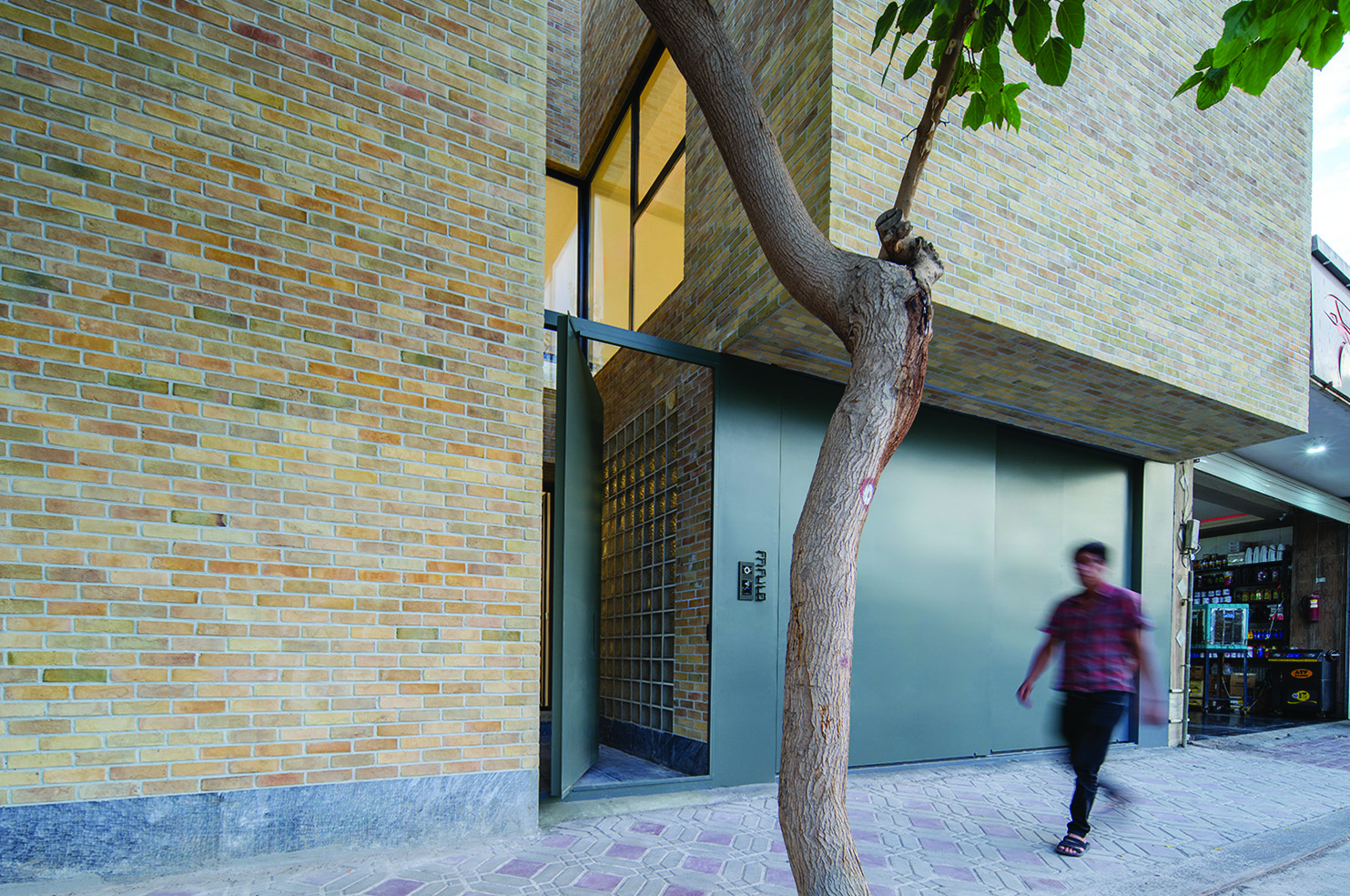 Close-up of Hamsang House entrance showing multi-coloured brick facade, green metal door, glass block wall, and a tree trunk growing beside it