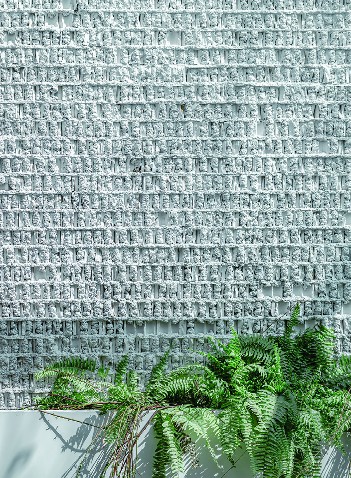 Close-up of whitewashed exposed brick wall texture with ferns growing at its base, showing the material honesty of the renovation