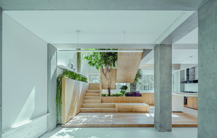Wide view of the ground floor showing exposed concrete columns framing the wooden staircase volume with tree and greenery, the kitchen visible to the right, trailing plants on the left