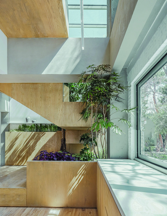 The wooden staircase volume bathed in natural light from above, a tree growing alongside the stairs, purple and green plants in built-in wooden planters, large windows overlooking the garden