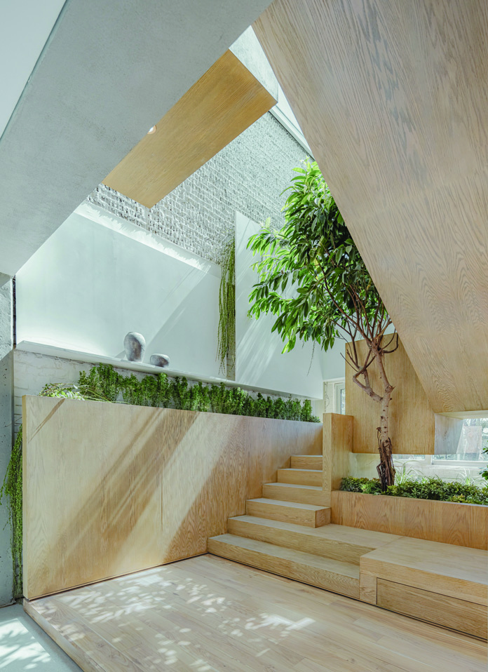 Angular wooden volume enveloping the staircase and tree, with hanging greenery on the balustrade, exposed concrete and brick walls, skylight flooding the space with light