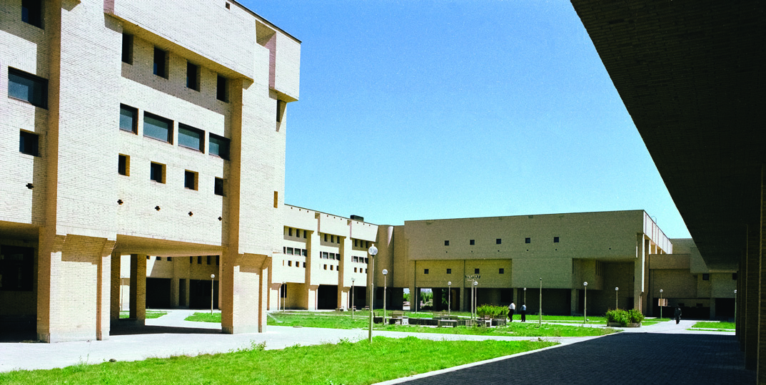 دانشگاه کرمان