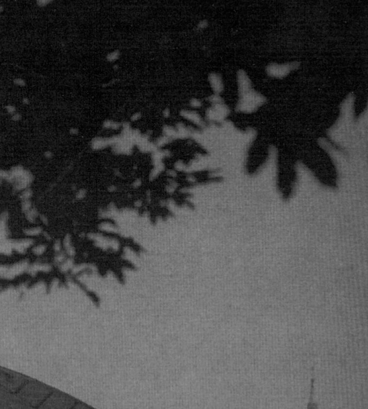 علی حمیدی مقدم