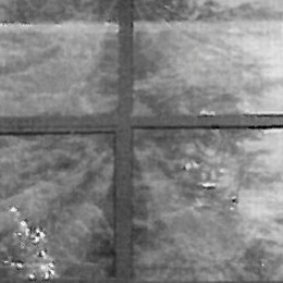 انتقاد دو معمار صاحب‌نظر ایرانی به مقاله معماری ایران در دانشنامه ایرانیکا