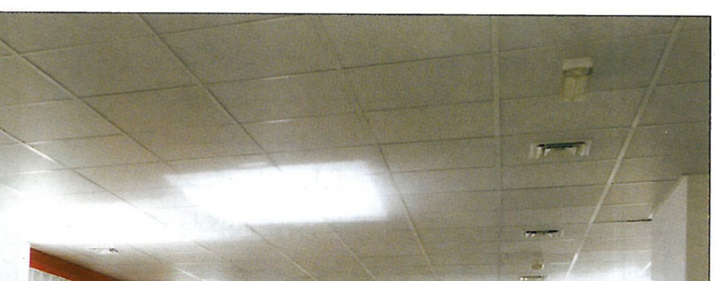 Shell open-plan office interior: 140 cm partitions, indirect metal-halide lighting, and the long bright corridor