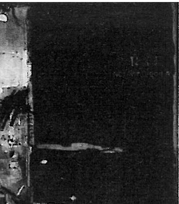 Robert Rauschenberg — combine-painting of oil, paper, metal, photographs, fabric, and wood