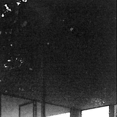 Mies van der Rohe, Farnsworth House: rationalism, the International Style, and codes of metal and glass