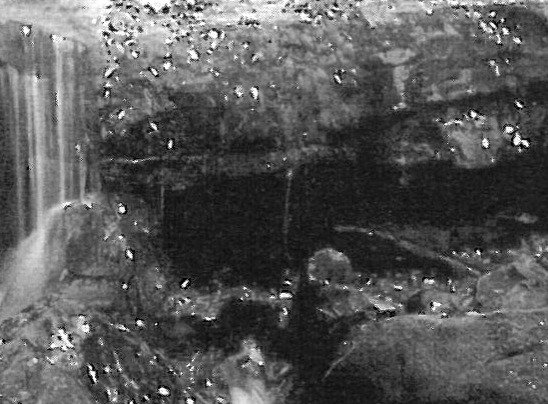 Pardisan-e-Iran: Restoration Plans in Yazd and Abarkooh