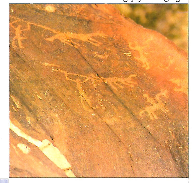 طرح پاویون‌های vip و vvip در فرودگاه بین‌المللی امام خمینی