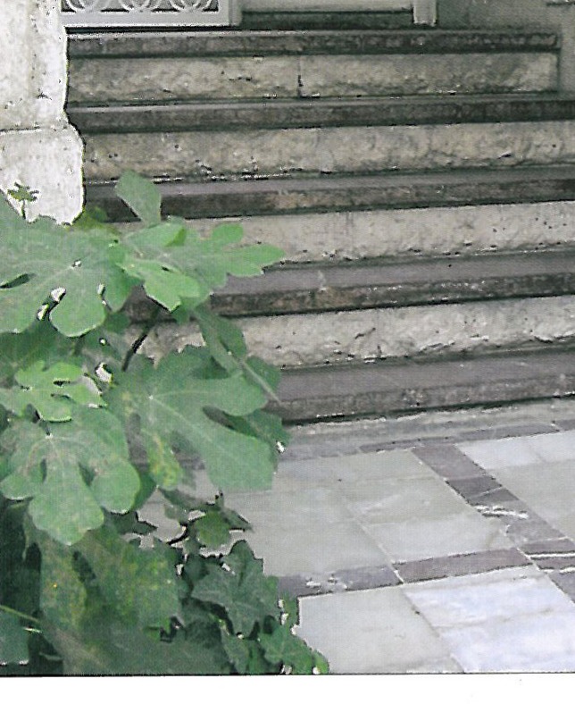 Three examples of Venini's works between 1950 and 1960: Vaso Incalmo by Thomas Stearns, Vaso Battuto by Tobia Scarpa, Vaso Pioggia by G. Venini