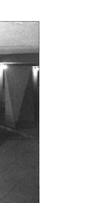 Roof and lateral lighting