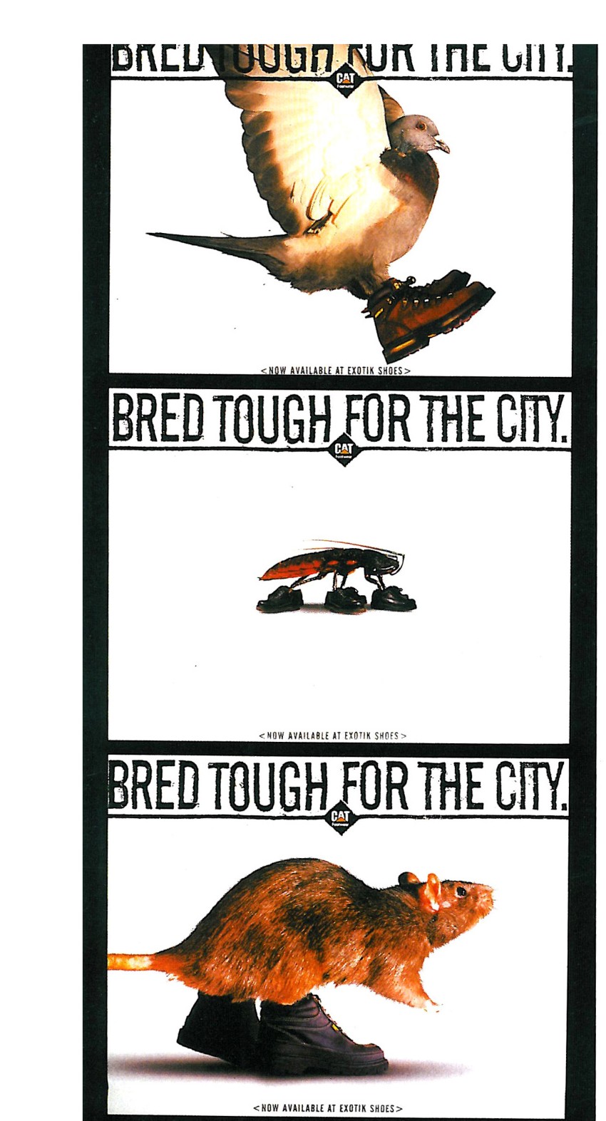 CAT shoes advertisement