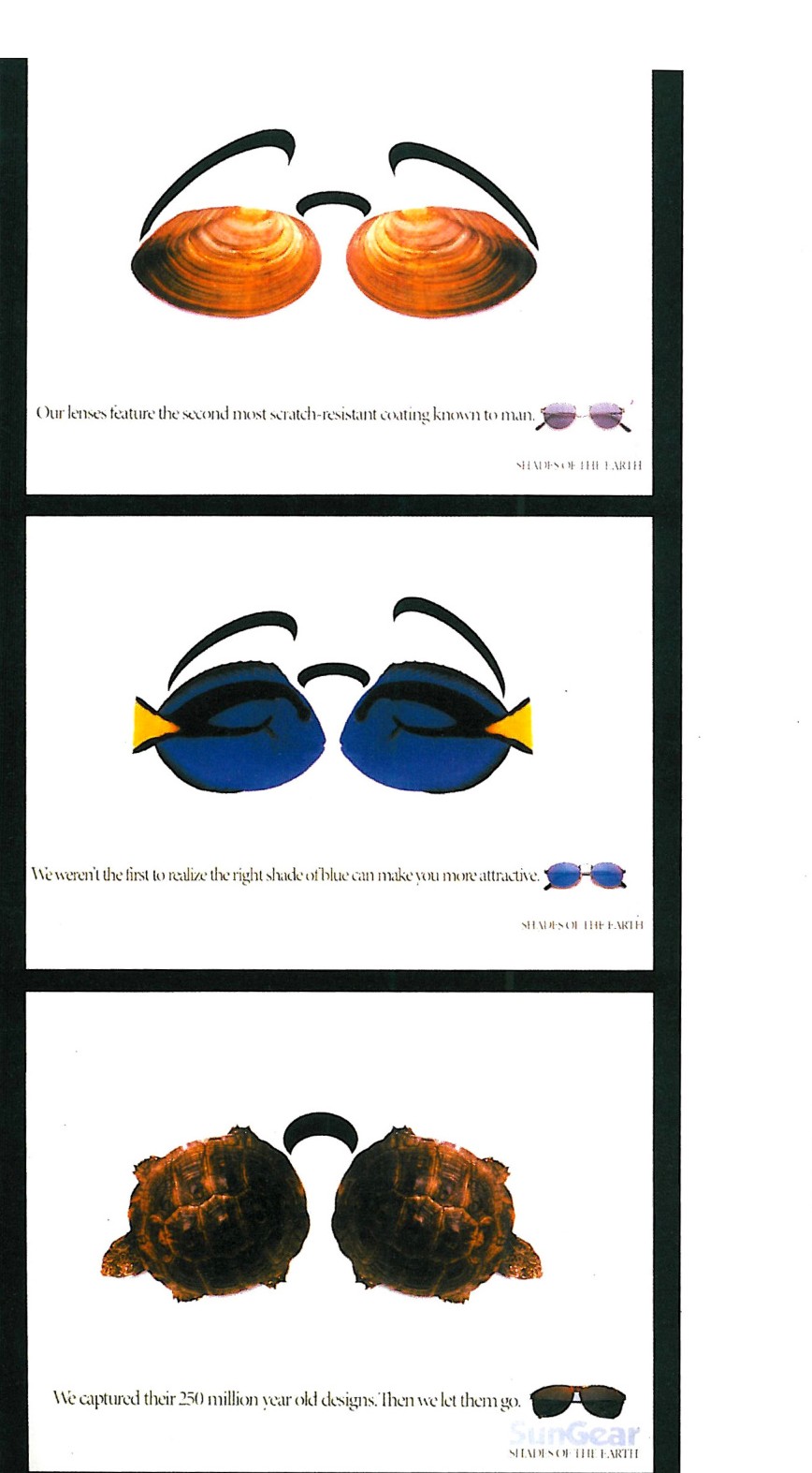 Sun Gear sunglasses advertisement