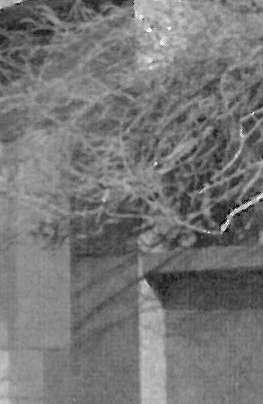 آثار سه معمار ارمنی در خانه هنرمندان ایران