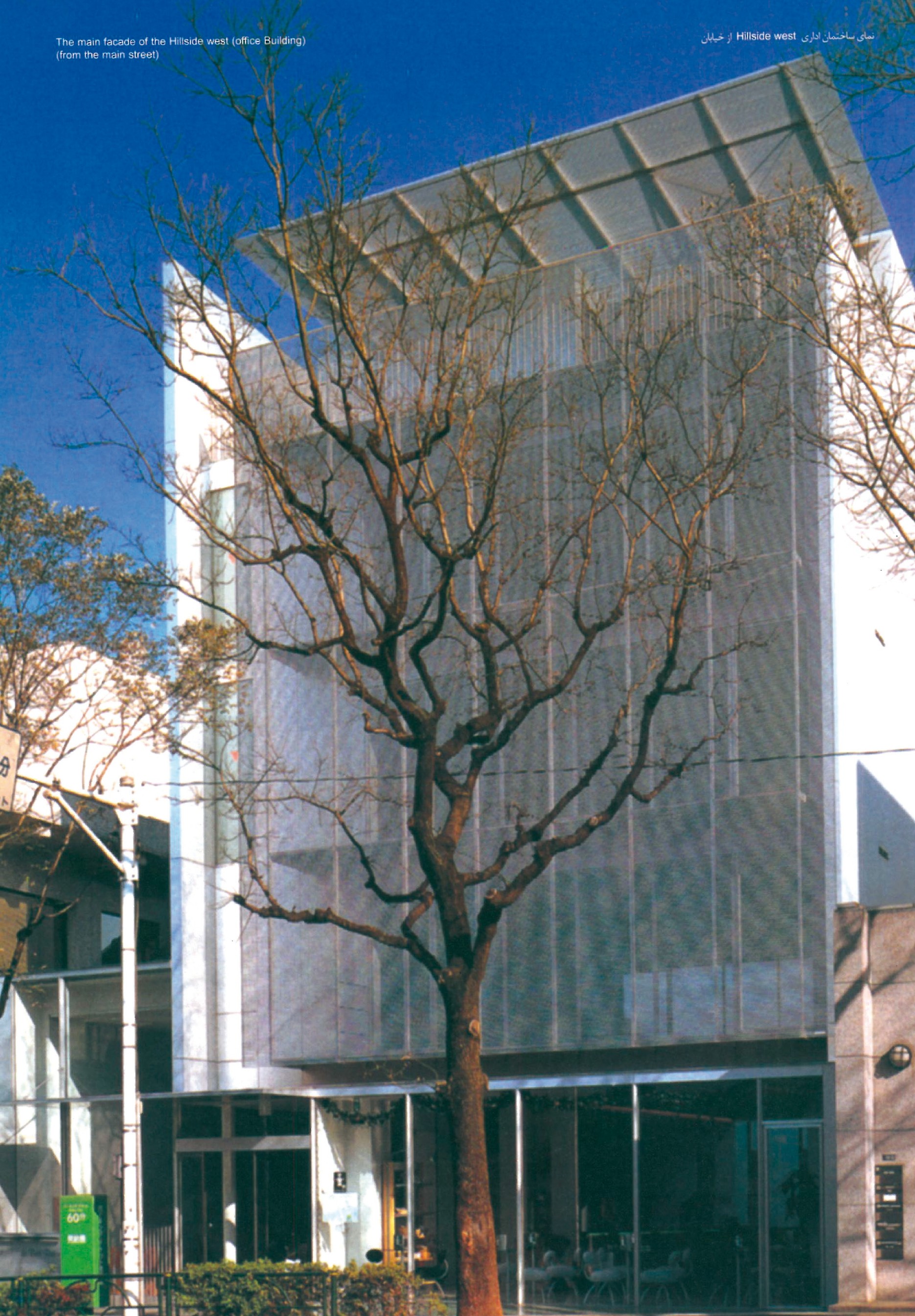 Full-height facade of the Hillside West office building (Daikanyama, Tokyo) — thin metal-and-glass screen with a tall street tree silhouetted in front