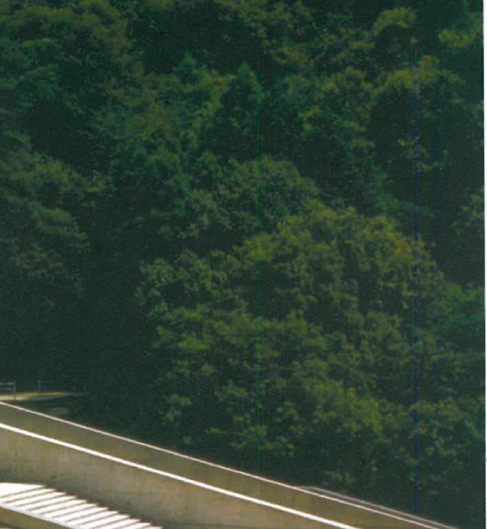 Cantilevered concrete walkway and stair of Tadao Ando's Chikatsu-Atsuka History Museum, set into a wooded landscape
