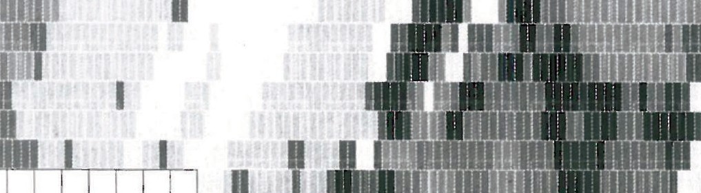 Detail of the Boehringer Ingelheim laboratory facade — close-up of the chequer-pattern coloured glass-brick panels arranged on the structural frame