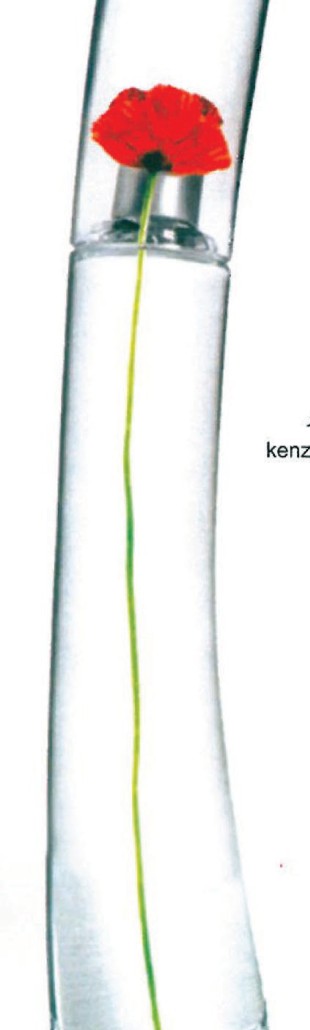 Tall slim Kenzo Flower perfume bottle with a red poppy printed inside the curved glass