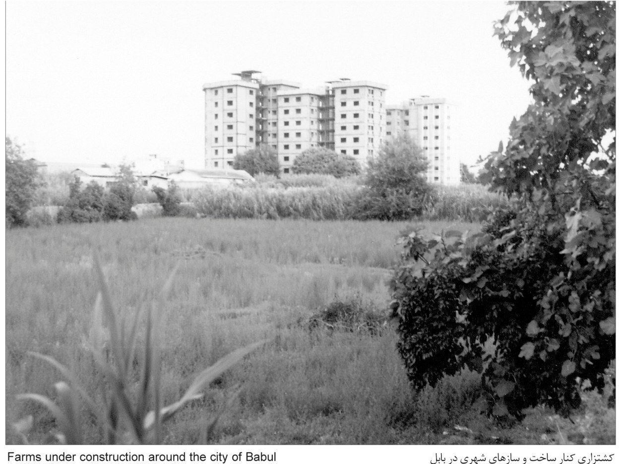 ranibar house tehran p47 1