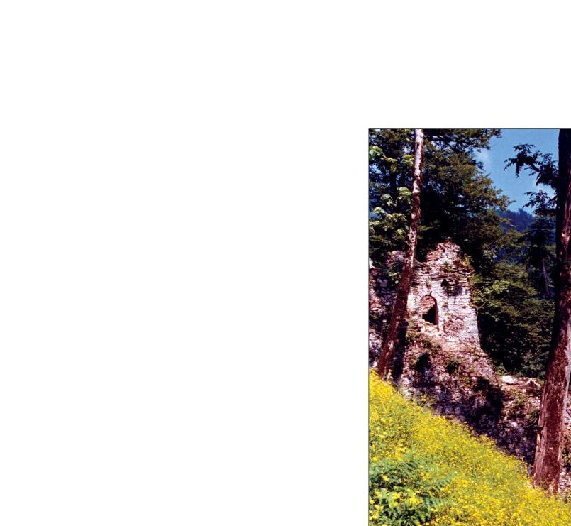 A section of the northeastern wall with turrets.
