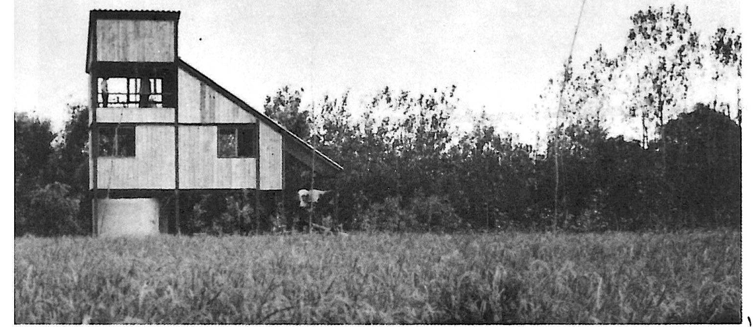 architecture and idea p8 2