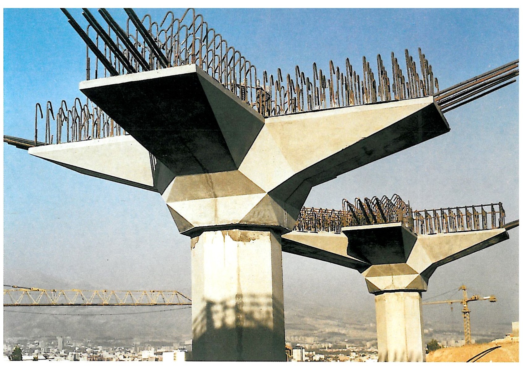 The Blossoming of Management in the Construction of the National Library