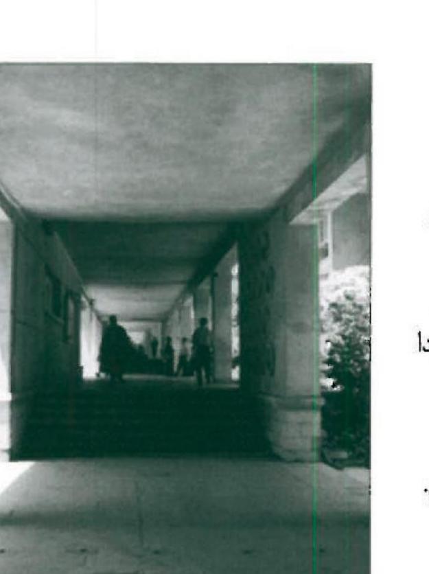 راهروی دانشکده