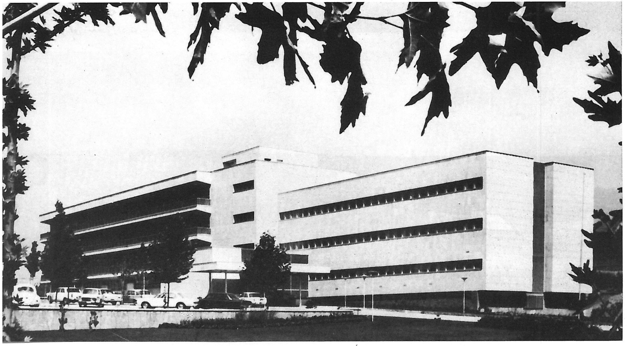 faramarz sharifi ramsar house p19 1