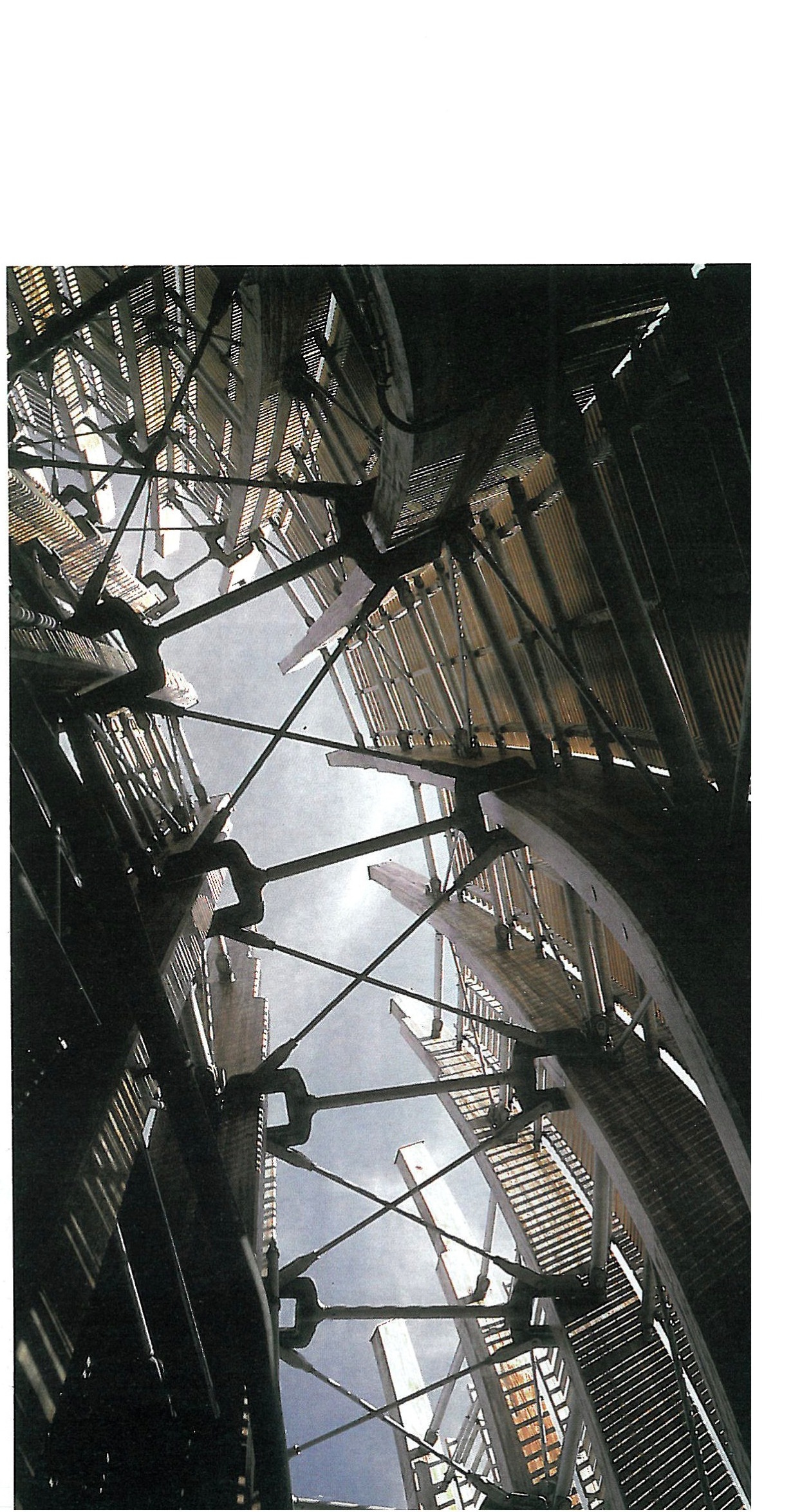 Interior — looking up inside one of the shells