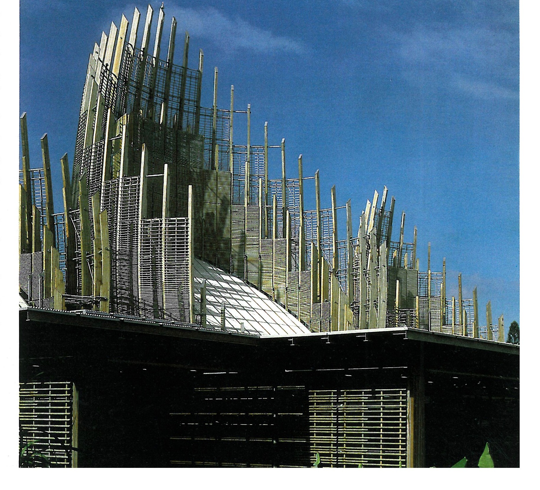 Shell — exterior detail of the timber structure