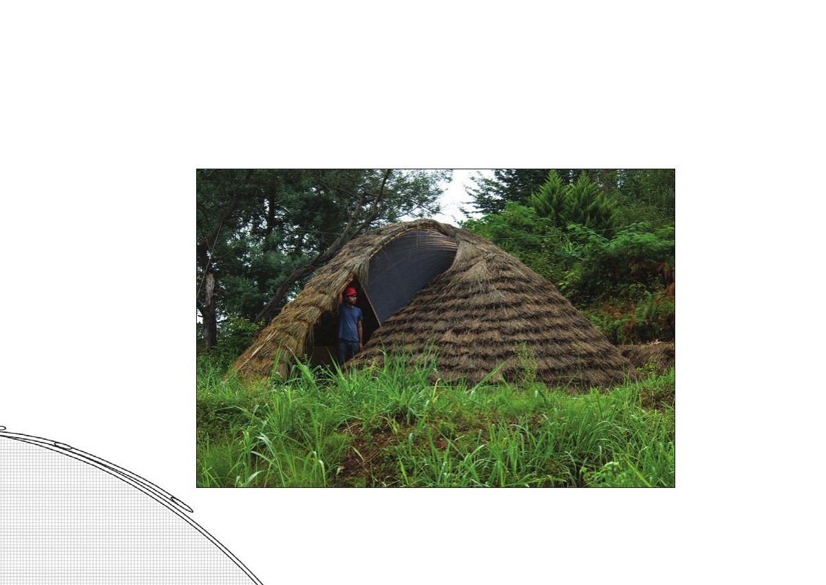 Bamboo Structure aerial dome view