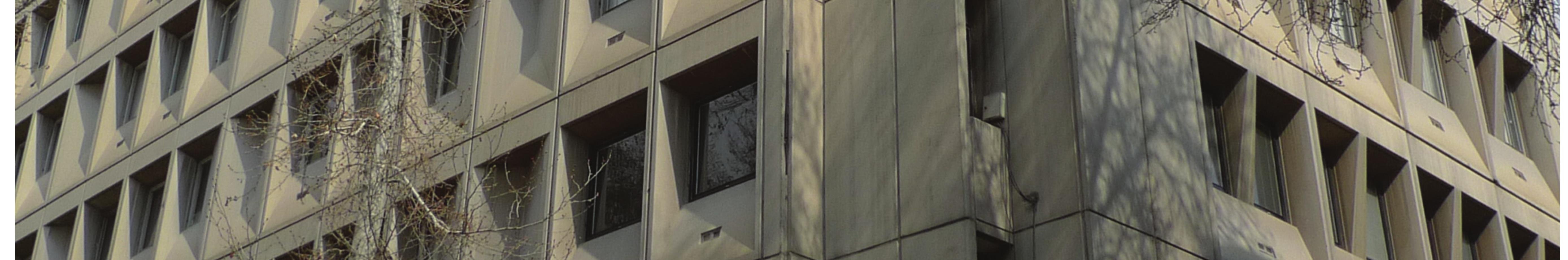 Cement Render or Concrete