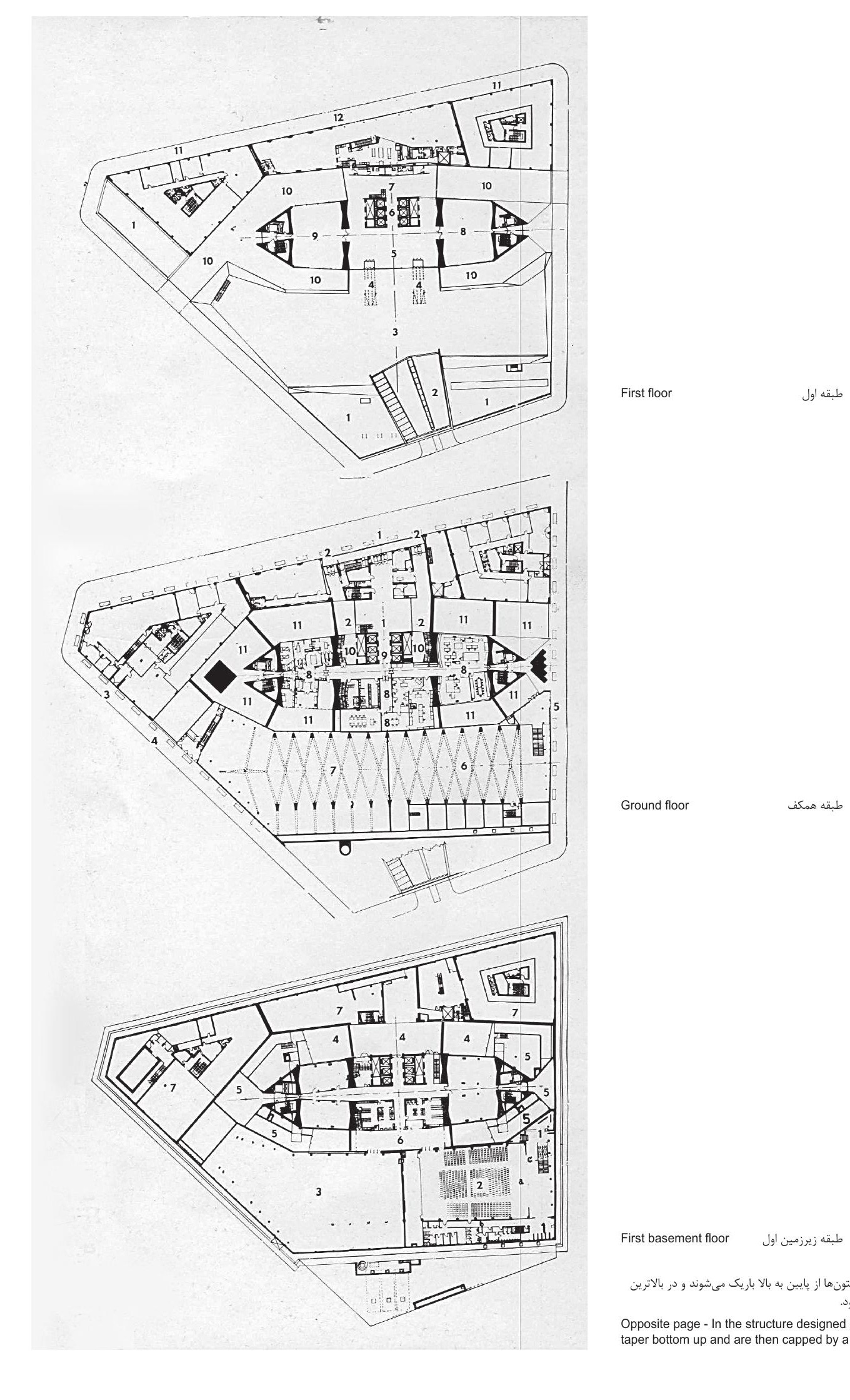 First floor, ground floor, and first basement plans. In the structure designed by Nervi the columns taper from bottom to top and are capped by a floating slab