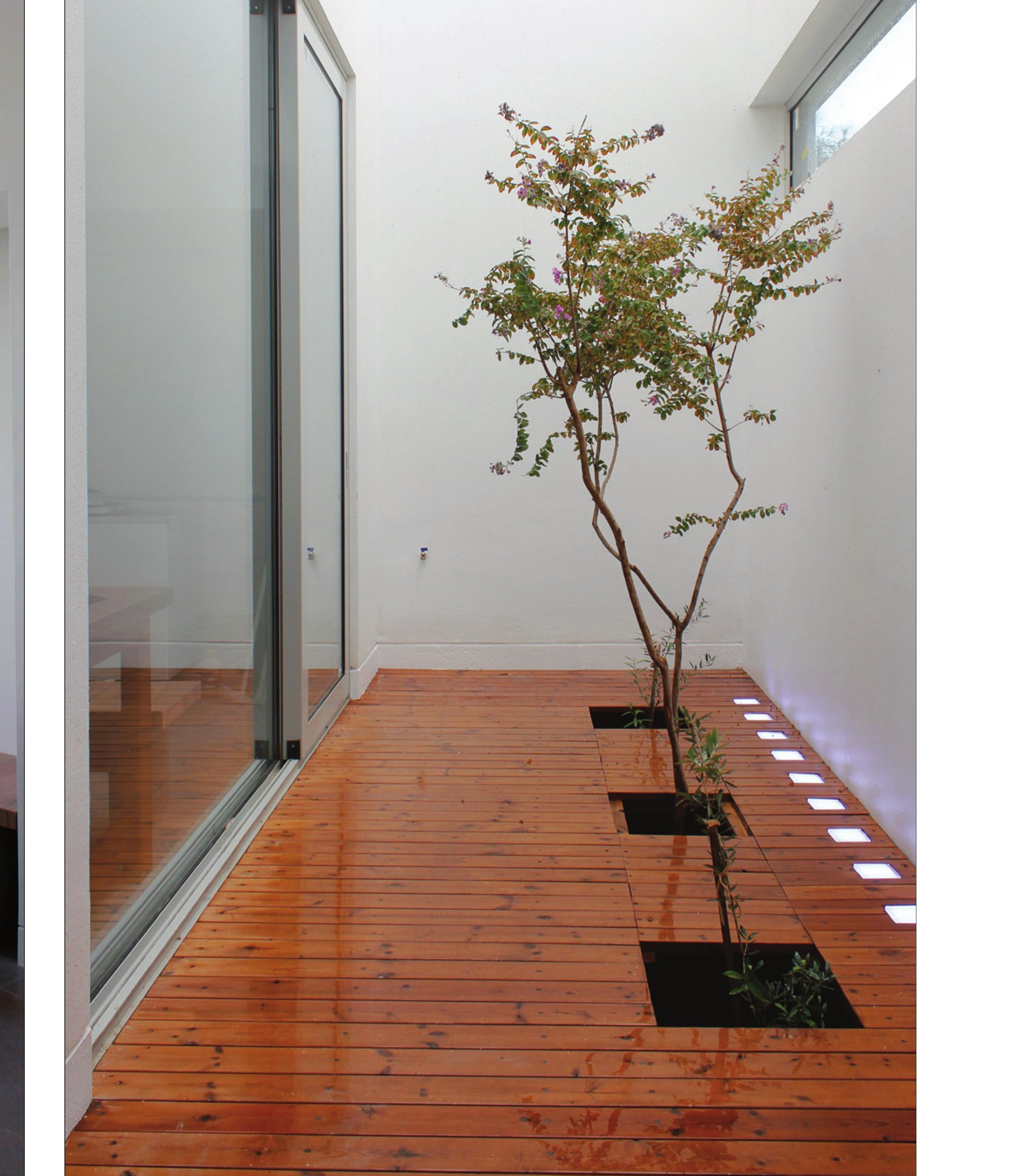 Inner court at floor-to-ceiling glass: a slender tree and the dotted floor lights.