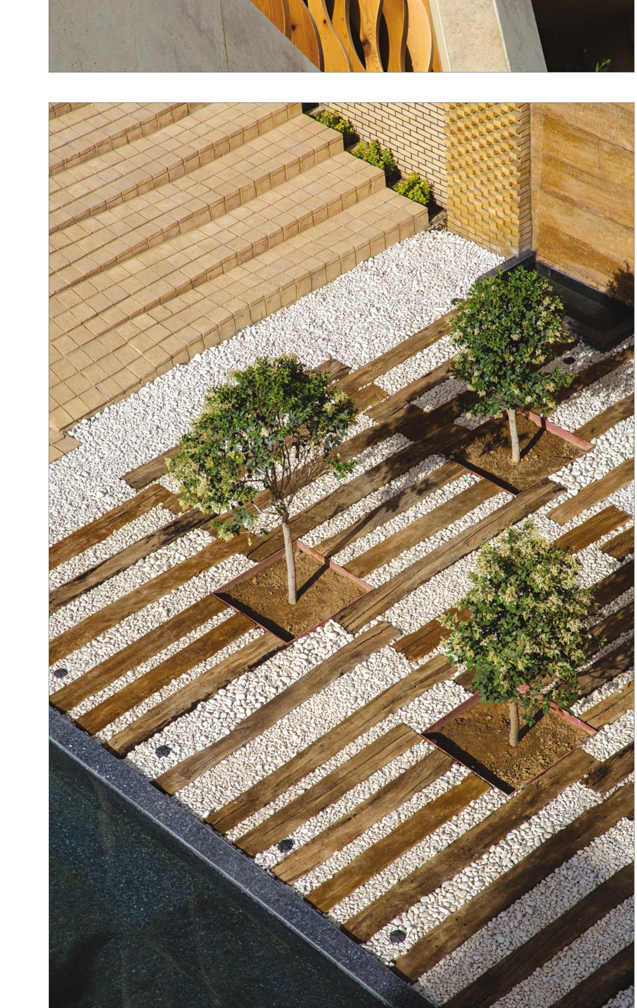 Reclaimed rail-sleeper decking and cherry trees in the courtyard.