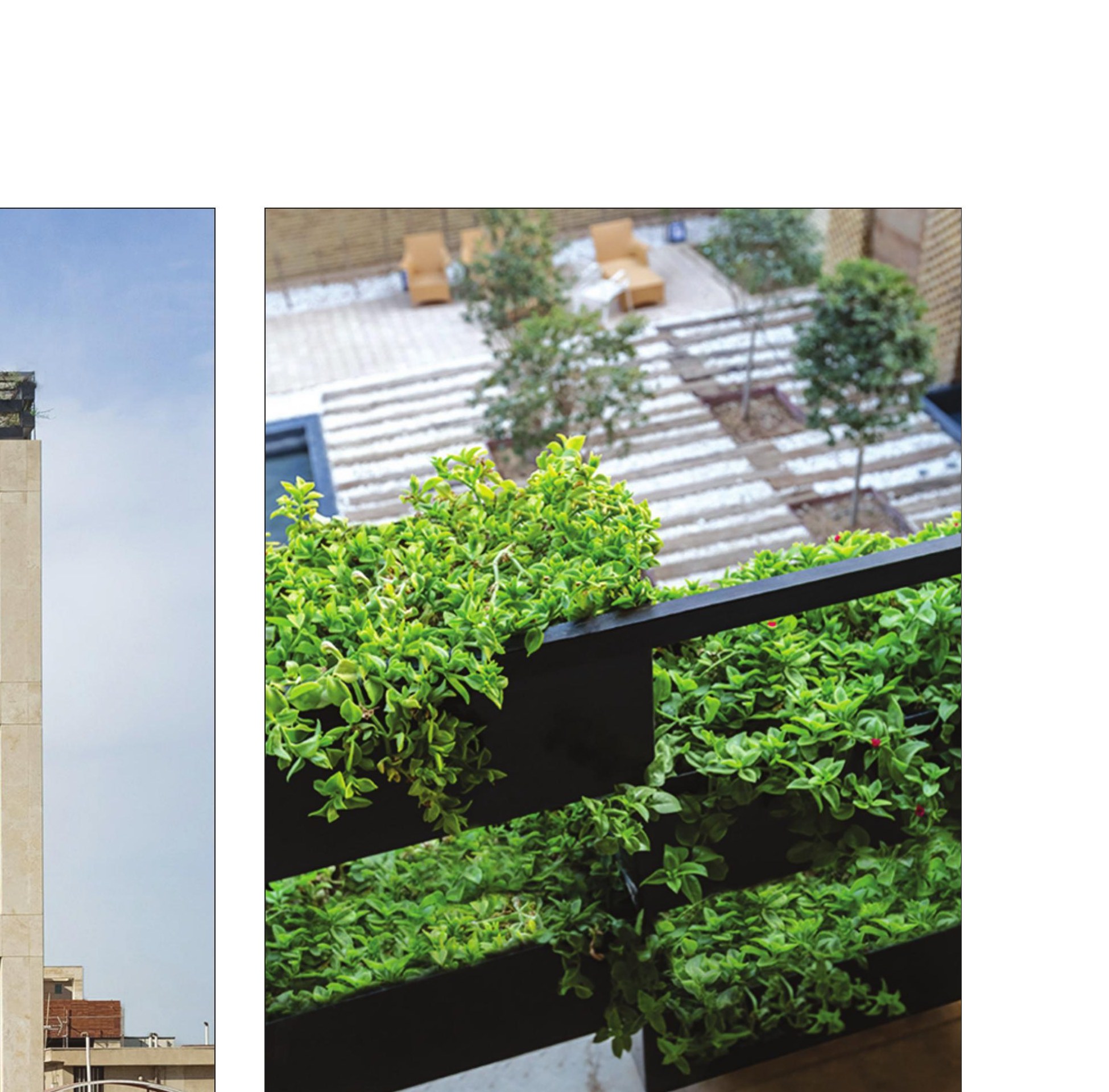 Green roof terrace.