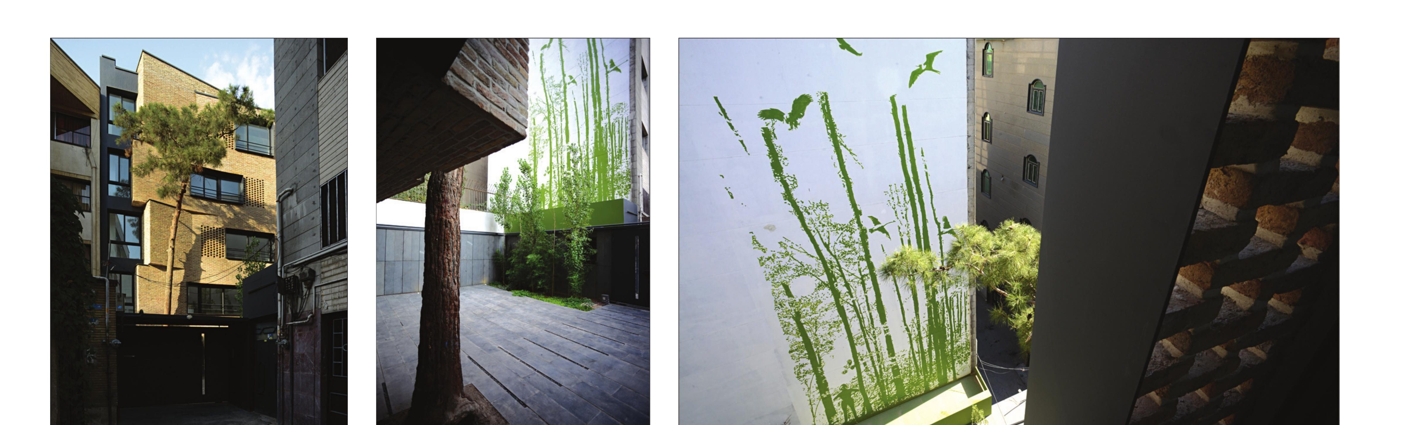 Bamboo planted to read against the painted wall — the manufactured landscape from inside.